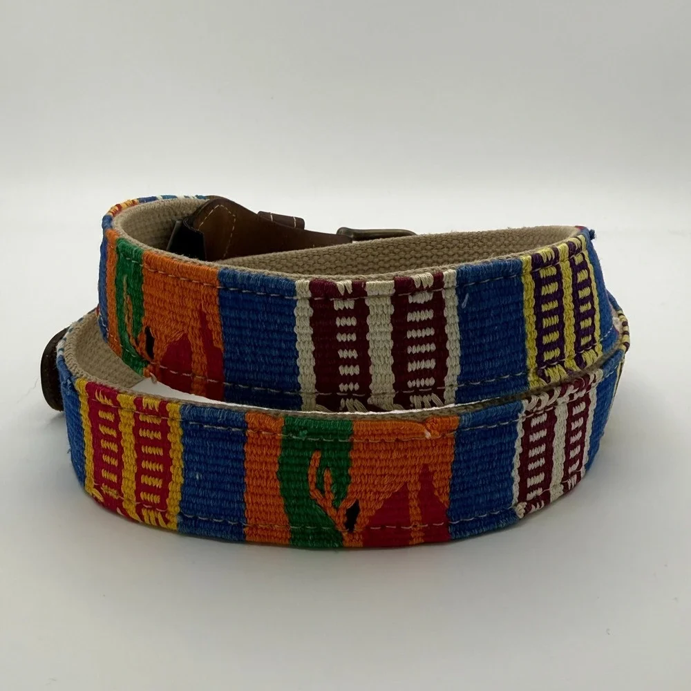 A Tail We Could Wag Southwestern Serape Woven Belt Multicolor Cactus Sz 38